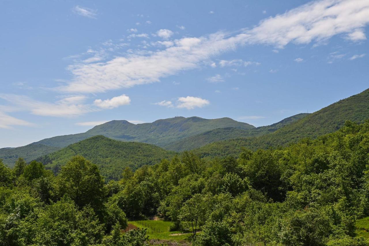 Villa Suzana Grijani Bazen I Biljar Na Otvorenom Veprinac Exteriér fotografie